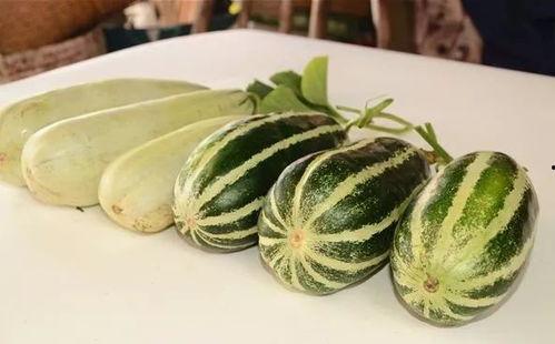 网红吃瓜爆料大全,揭秘娱乐圈幕后真相  第3张